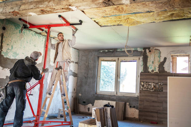 Best Specialized Insulation Services in USA